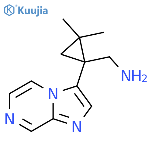 (1-{imidazo1,2-apyrazin-3-yl}-2,2-dimethylcyclopropyl)methanamine structure