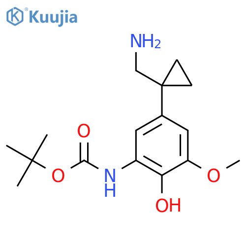 tert-butyl N-{5-[1-(aminomethyl)cyclopropyl]-2-hydroxy-3-methoxyphenyl}carbamate structure