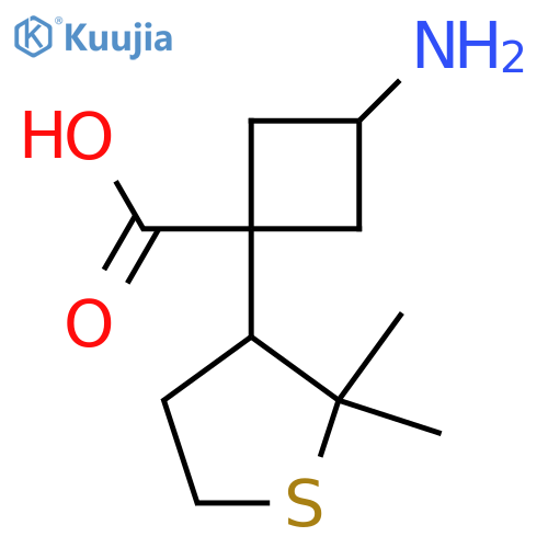 3-amino-1-(2,2-dimethylthiolan-3-yl)cyclobutane-1-carboxylic acid structure