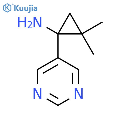 2,2-dimethyl-1-(pyrimidin-5-yl)cyclopropan-1-amine structure