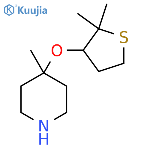 4-(2,2-dimethylthiolan-3-yl)oxy-4-methylpiperidine structure