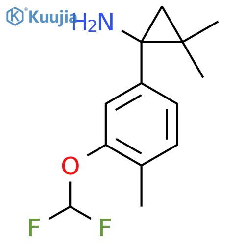 1-3-(difluoromethoxy)-4-methylphenyl-2,2-dimethylcyclopropan-1-amine structure