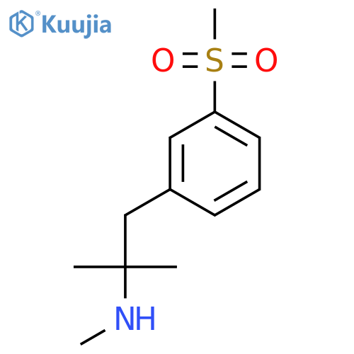 1-(3-methanesulfonylphenyl)-2-methylpropan-2-yl(methyl)amine structure
