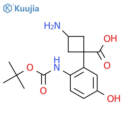 3-amino-1-(2-{(tert-butoxy)carbonylamino}-5-hydroxyphenyl)cyclobutane-1-carboxylic acid structure