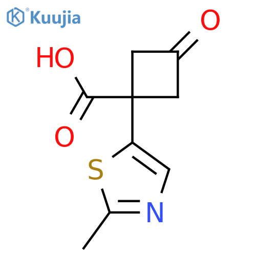 1-(2-methyl-1,3-thiazol-5-yl)-3-oxocyclobutane-1-carboxylic acid structure