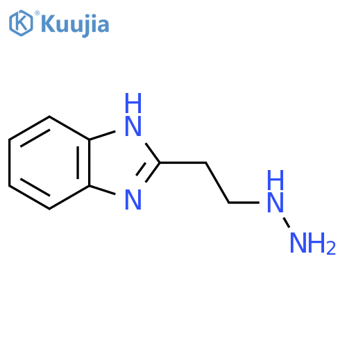 2-(2-hydrazinylethyl)-1H-1,3-benzodiazole structure