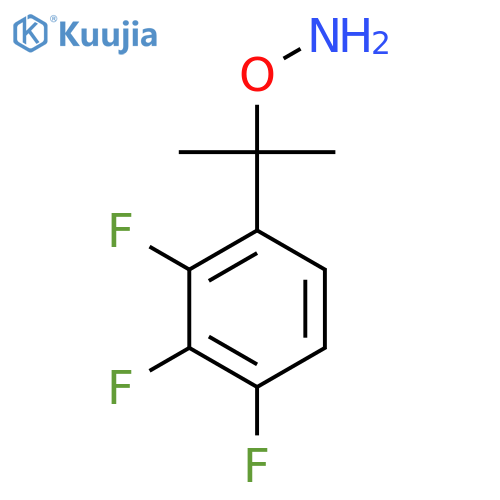 O-2-(2,3,4-trifluorophenyl)propan-2-ylhydroxylamine structure