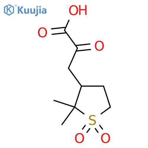 3-(2,2-dimethyl-1,1-dioxo-1lambda6-thiolan-3-yl)-2-oxopropanoic acid structure