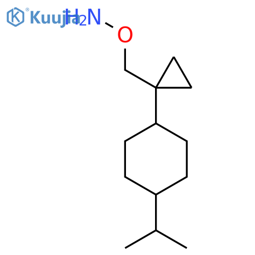 O-({1-4-(propan-2-yl)cyclohexylcyclopropyl}methyl)hydroxylamine structure