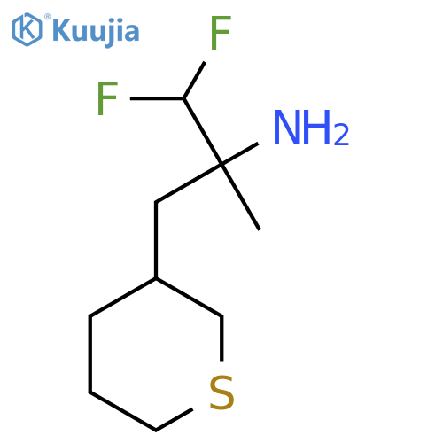1,1-difluoro-2-methyl-3-(thian-3-yl)propan-2-amine structure