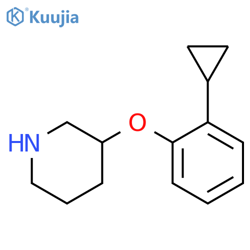 3-(2-cyclopropylphenoxy)piperidine structure