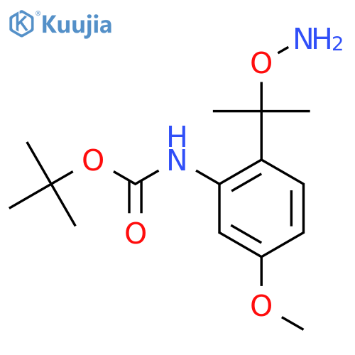tert-butyl N-{2-2-(aminooxy)propan-2-yl-5-methoxyphenyl}carbamate structure