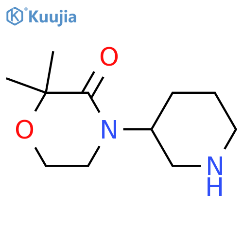 2,2-dimethyl-4-(piperidin-3-yl)morpholin-3-one structure