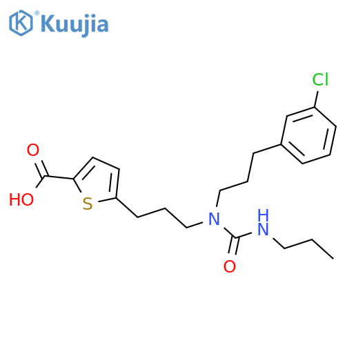 2-Thiophenecarboxylic acid,5-[3-[[3-(3-chlorophenyl)propyl][(propylamino)carbonyl]amino]propyl]- structure