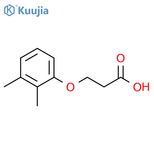 3-(2,3-dimethylphenoxy)propanoic acid structure