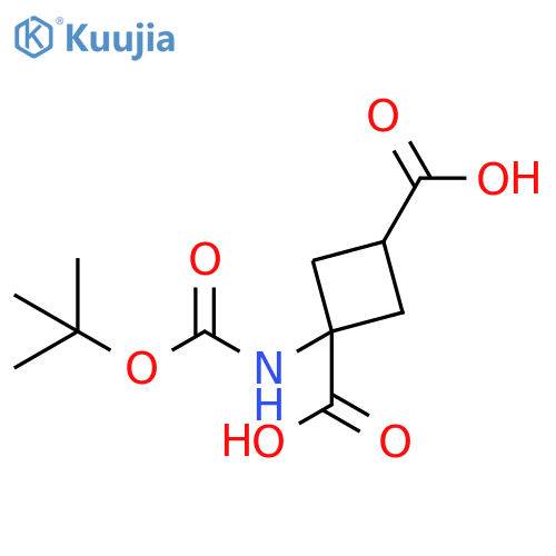 1-{(tert-butoxy)carbonylamino}cyclobutane-1,3-dicarboxylic acid structure
