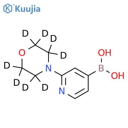 (2-(morpholino-d8)pyridin-4-yl)boronic acid structure