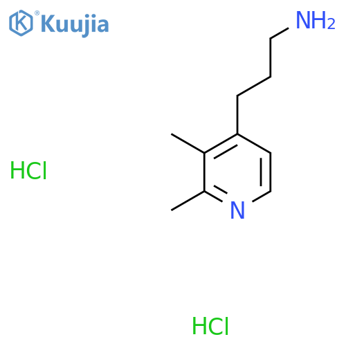 3-(2,3-Dimethylpyridin-4-yl)propan-1-amine dihydrochloride structure