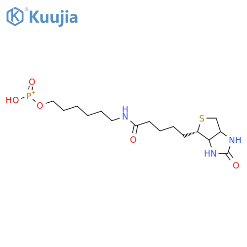 6-N-BIOTINYLAMINOHEXYL HYDROGENPHOSPHONATE structure