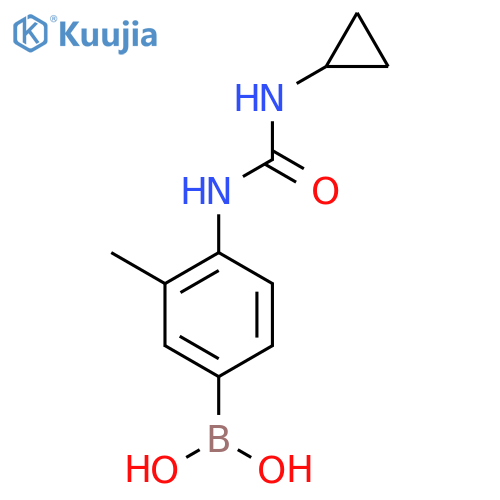 {4-[(Cyclopropylcarbamoyl)amino]-3-methylphenyl}boronic acid structure