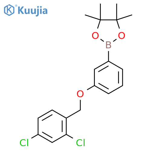 2-[3-[(2,4-Dichlorophenyl)methoxy]phenyl]-4,4,5,5-tetramethyl-1,3,2-dioxaborolane structure