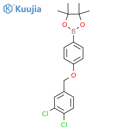 2-[4-[(3,4-Dichlorophenyl)methoxy]phenyl]-4,4,5,5-tetramethyl-1,3,2-dioxaborolane structure