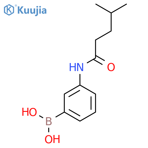 [3-(4-Methylpentanoylamino)phenyl]boronic acid structure