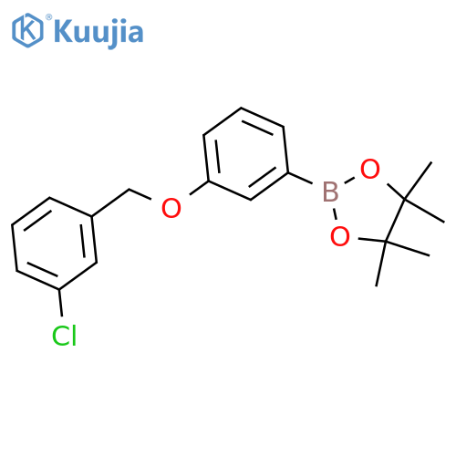 2-[3-[(3-Chlorophenyl)methoxy]phenyl]-4,4,5,5-tetramethyl-1,3,2-dioxaborolane structure