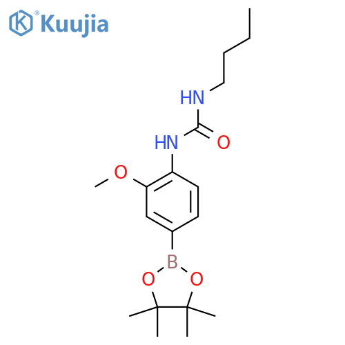 1-Butyl-3-(2-methoxy-4-(4,4,5,5-tetramethyl-1,3,2-dioxaborolan-2-yl)phenyl)urea structure
