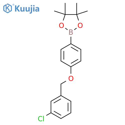 2-[4-[(3-Chlorophenyl)methoxy]phenyl]-4,4,5,5-tetramethyl-1,3,2-dioxaborolane structure