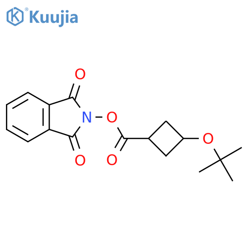 1,3-dioxo-2,3-dihydro-1H-isoindol-2-yl (1s,3s)-3-(tert-butoxy)cyclobutane-1-carboxylate structure