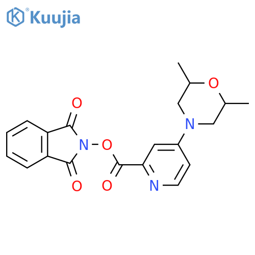 1,3-dioxo-2,3-dihydro-1H-isoindol-2-yl 4-(2,6-dimethylmorpholin-4-yl)pyridine-2-carboxylate structure
