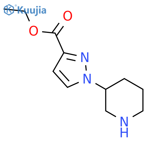 Ethyl 1-piperidin-3-ylpyrazole-3-carboxylate structure