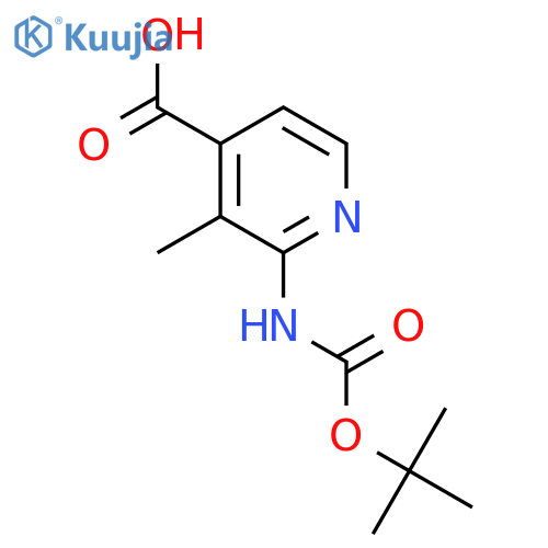 2-{[(Tert-butoxy)carbonyl]amino}-3-methylpyridine-4-carboxylic acid structure
