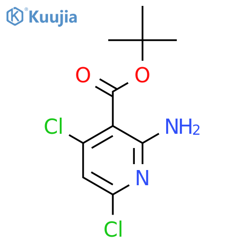 Tert-butyl 2-amino-4,6-dichloropyridine-3-carboxylate structure