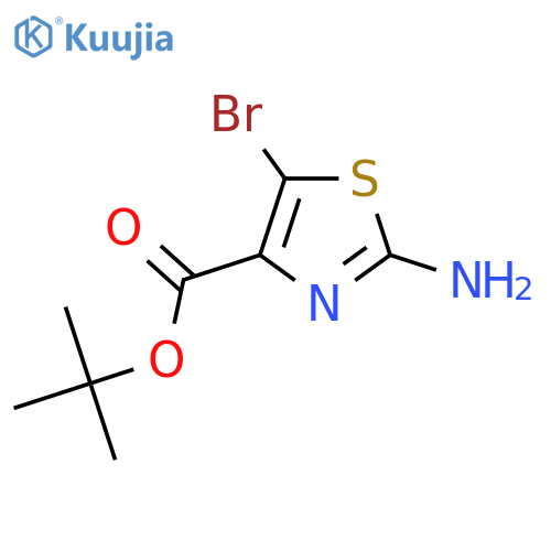 Tert-butyl 2-amino-5-bromo-1,3-thiazole-4-carboxylate structure