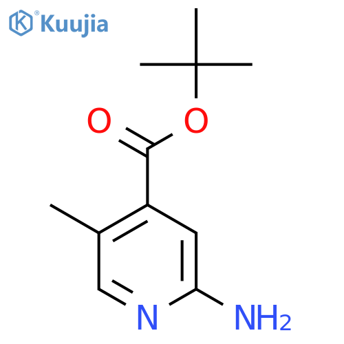 Tert-butyl 2-amino-5-methylpyridine-4-carboxylate structure