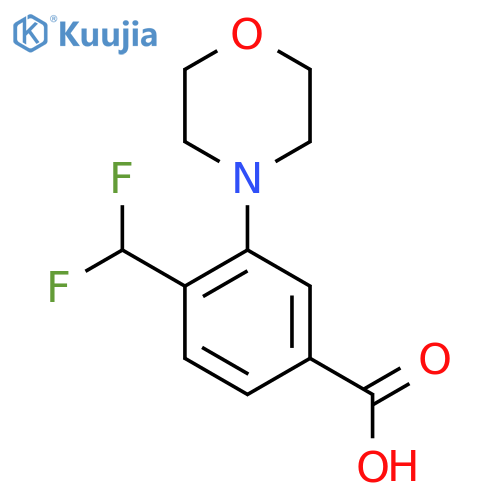 4-(Difluoromethyl)-3-morpholin-4-ylbenzoic acid structure