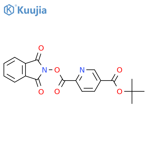 5-tert-butyl 2-(1,3-dioxo-2,3-dihydro-1H-isoindol-2-yl) pyridine-2,5-dicarboxylate structure