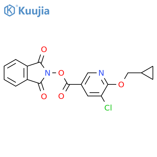 1,3-dioxo-2,3-dihydro-1H-isoindol-2-yl 5-chloro-6-(cyclopropylmethoxy)pyridine-3-carboxylate structure