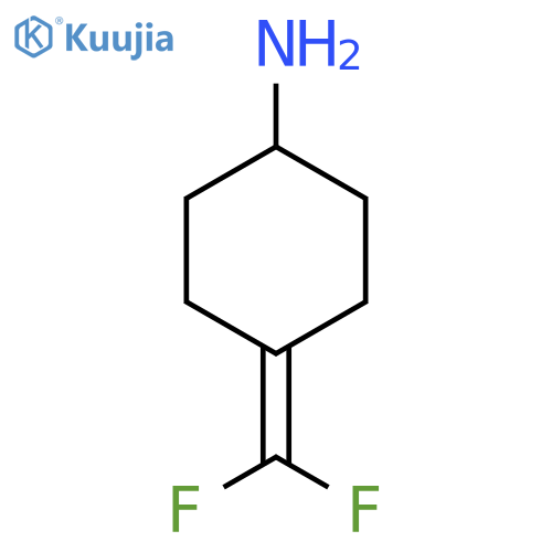 4-(Difluoromethylidene)cyclohexan-1-amine structure
