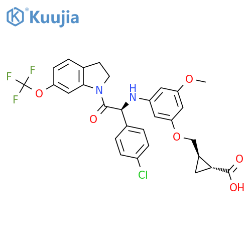 Denv-IN-2 structure