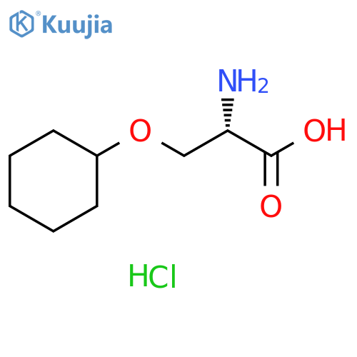 O-cyclohexyl-L-serine HCl structure