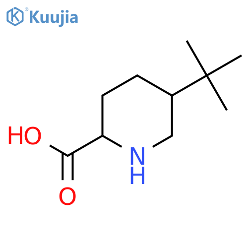 5-Tert-butylpiperidine-2-carboxylic acid structure