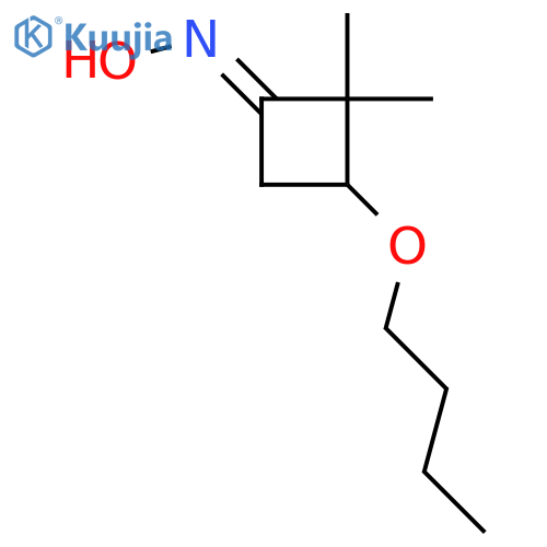 (NE)-N-(3-butoxy-2,2-dimethylcyclobutylidene)hydroxylamine structure