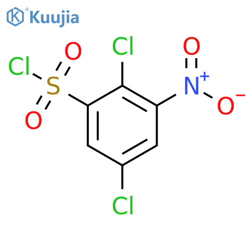 2,5-dichloro-3-nitrobenzene-1-sulfonyl chloride structure
