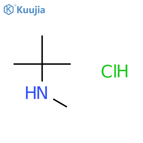 tert-butyl(methyl)amine hydrochloride structure