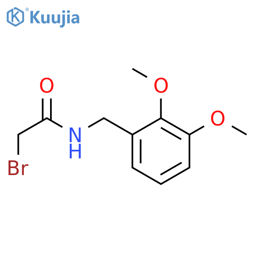 2-bromo-N-(2,3-dimethoxybenzyl)acetamide structure