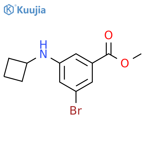 Benzoic acid, 3-bromo-5-(cyclobutylamino)-, methyl ester structure