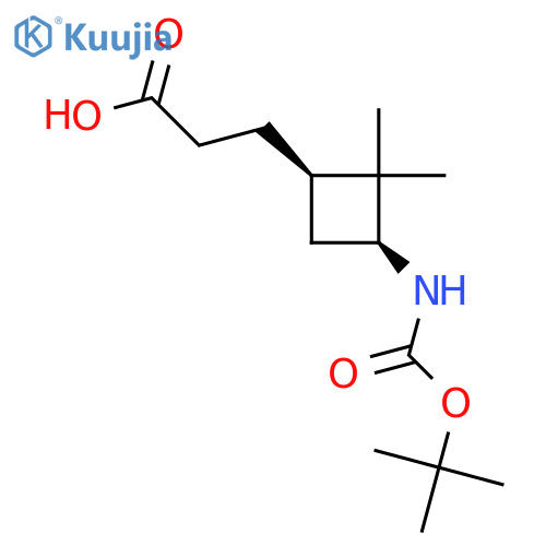 3-[(1R,3S)-3-{[(tert-butoxy)carbonyl]amino}-2,2-dimethylcyclobutyl]propanoic acid structure